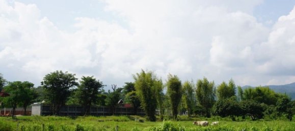  Land in Chiang Mai, Thailand No. 27015 6