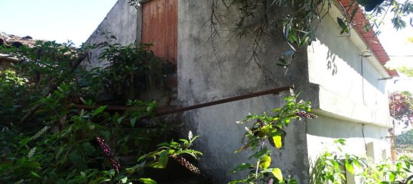 2 bedrooms House in Proenca a Nova, Portugal No. 173342 3