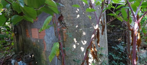 2 bedrooms House in Proenca a Nova, Portugal No. 173342 4