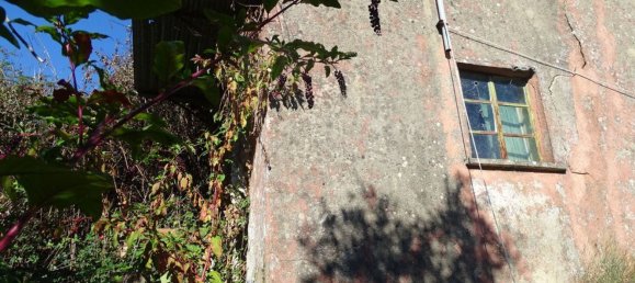 2 bedrooms House in Proenca a Nova, Portugal No. 173342 5