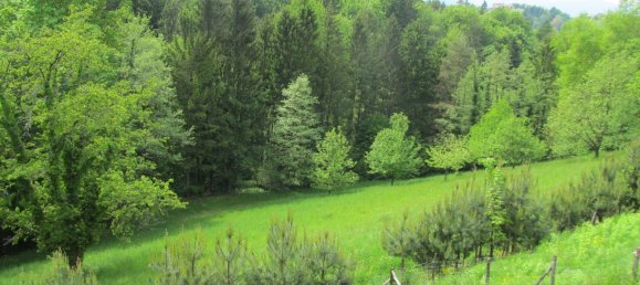 Casa de 8 divisões em Oberhaag, Austria N.º 19212 4