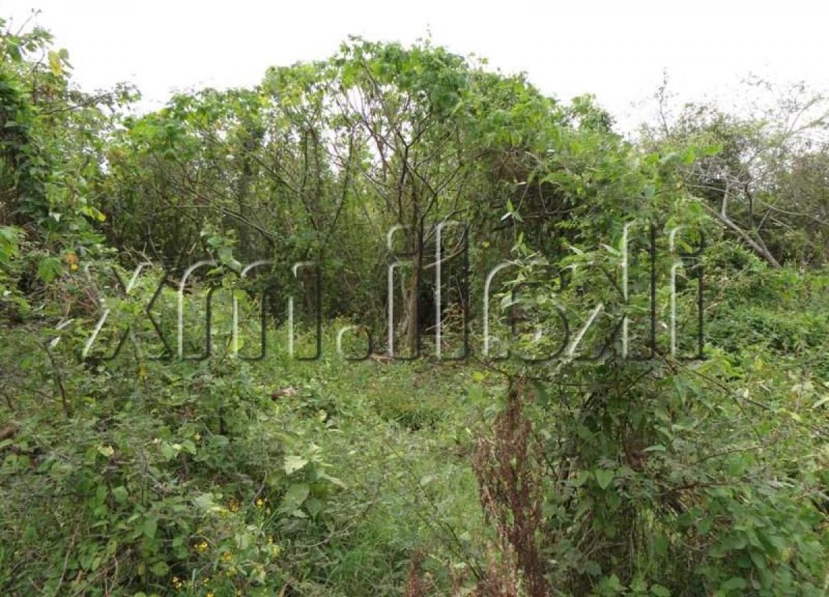 Terreno en Veracruz, Mexico No. 204170