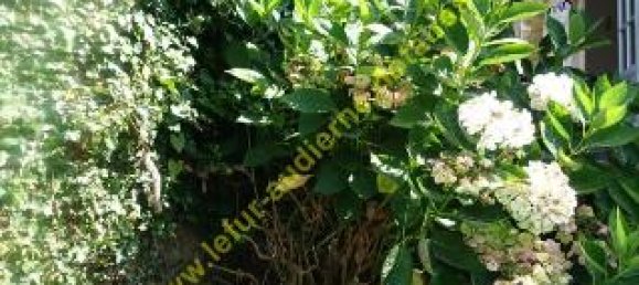 3 chambres Maison à Audierne, France No. 335536 4