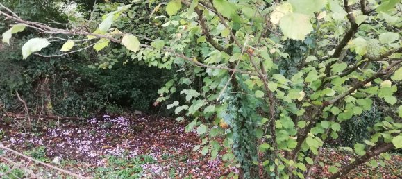 6 rooms House in Rivodutri, Italy No. 255592 7