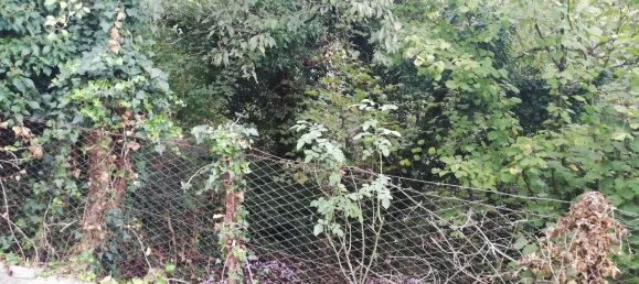 6 rooms House in Rivodutri, Italy No. 255592 6