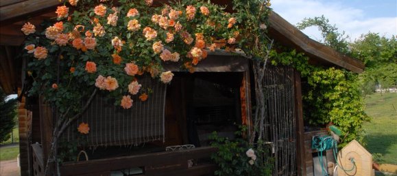 4 bedrooms House in Agios Athanasios, Greece No. 95174 4