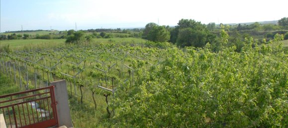 4 bedrooms House in Agios Athanasios, Greece No. 95174 29