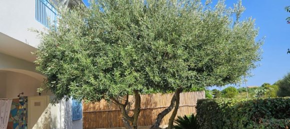 Дом с 3 спальнями в Сардиния, Италия № 344337 8