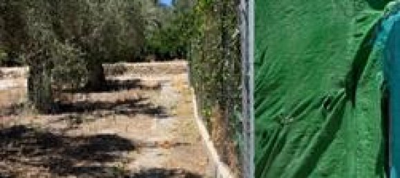 قطعة أرض في Granada, Spain 525متر مربع رقم 187276 9