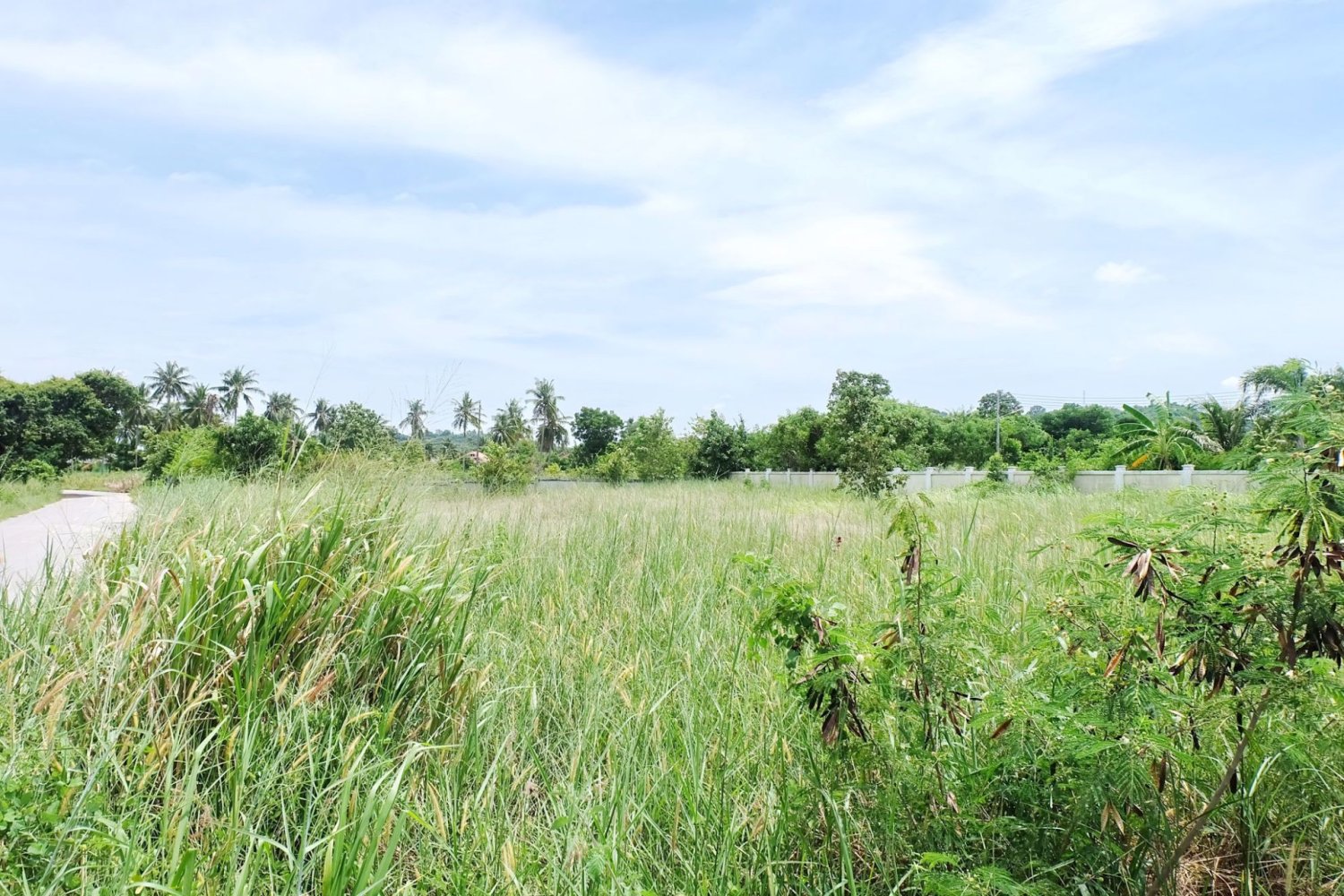  Commercial property in Bang Lamung, Thailand No. 4933