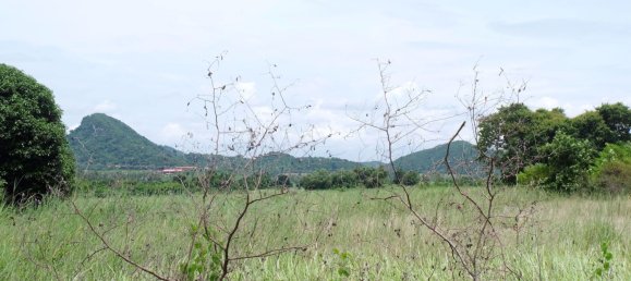  Commercial property in Bang Lamung, Thailand No. 4933 7