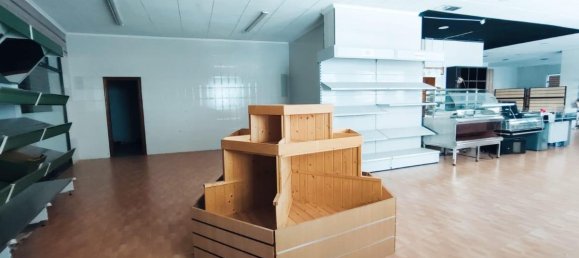 290m² Commercial property in Guardamar del Segura, Spain No. 12890 4