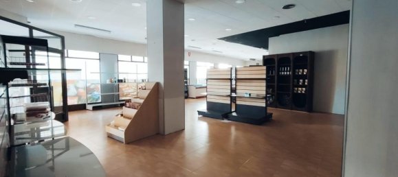 290m² Commercial property in Guardamar del Segura, Spain No. 12890 7