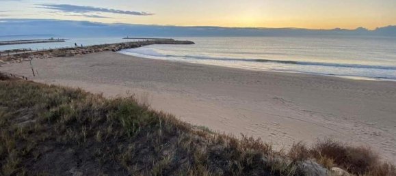 290m² Commercial property in Guardamar del Segura, Spain No. 12890 21