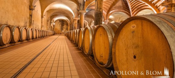 30 Schlafzimmer Haus in Castellina in Chianti, Italy, Nr. 54534 13