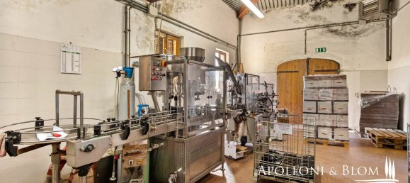 30 Schlafzimmer Haus in Castellina in Chianti, Italy, Nr. 54534 11