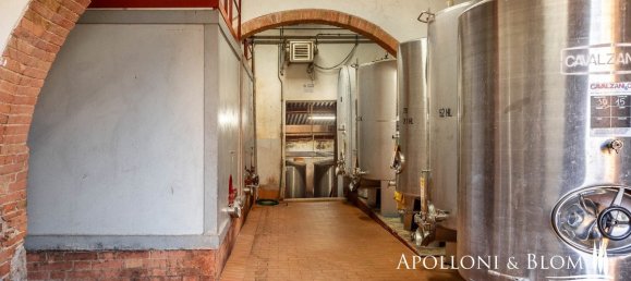 30 Schlafzimmer Haus in Castellina in Chianti, Italy, Nr. 54534 8