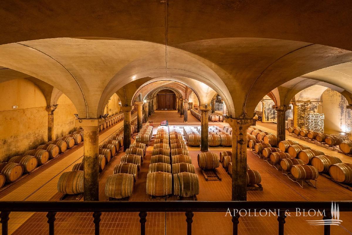 30 Schlafzimmer Haus in Castellina in Chianti, Italy, Nr. 54534