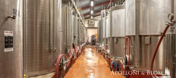 30 Schlafzimmer Haus in Castellina in Chianti, Italy, Nr. 54534 9