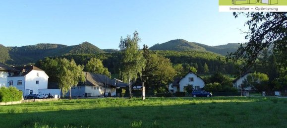 1976m² Land in Altenmarkt an der Triesting, Austria No. 162529 4