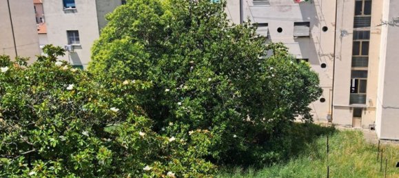 4 غرف نوم شقة في Livorno, Italy رقم 331306 17