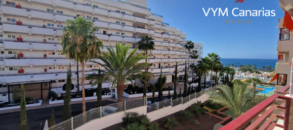 1 chambre Appartement à Adeje, Spain No. 119523 19