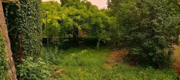 2 bedrooms House in Puy-de-Dome, France No. 344644 16