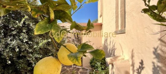 4-Zimmer Villa in Golfo Aranci, Italy, Nr. 238103 2