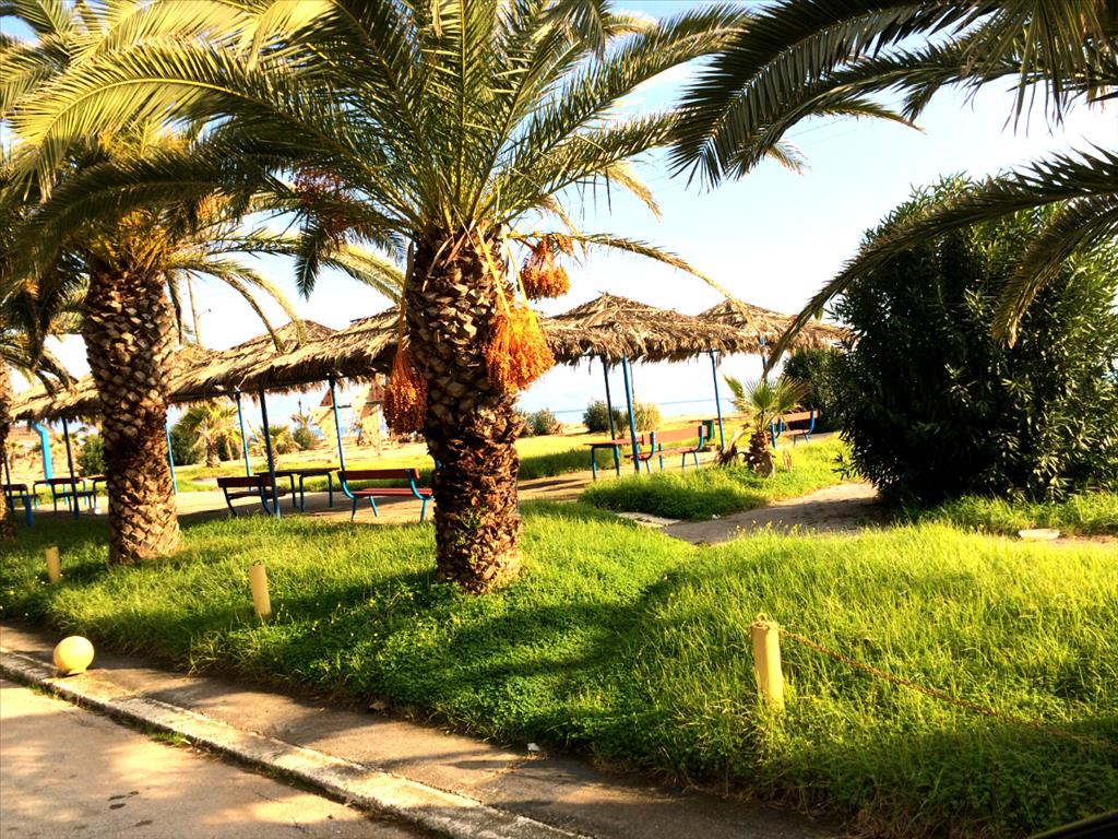 2 bedrooms Villa in Messenia, Greece No. 6355