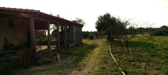 2 bedrooms Villa in Messenia, Greece No. 6355 15