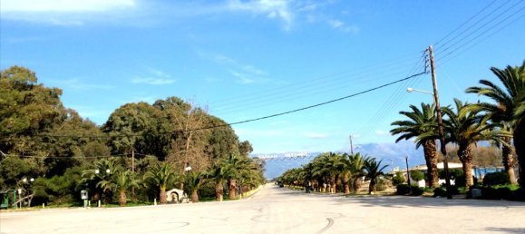 2 bedrooms Villa in Messenia, Greece No. 6355 16