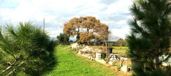 2 bedrooms Villa in Messenia, Greece No. 6355 2