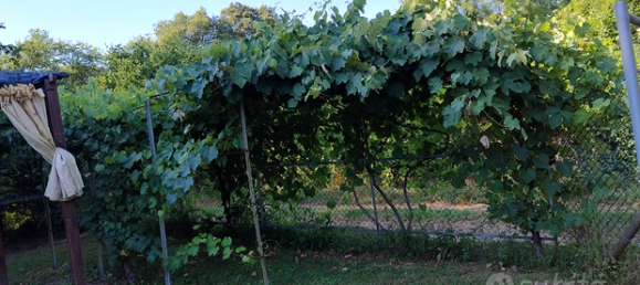 2000m² Land in Collesalvetti, Italy No. 276734 6