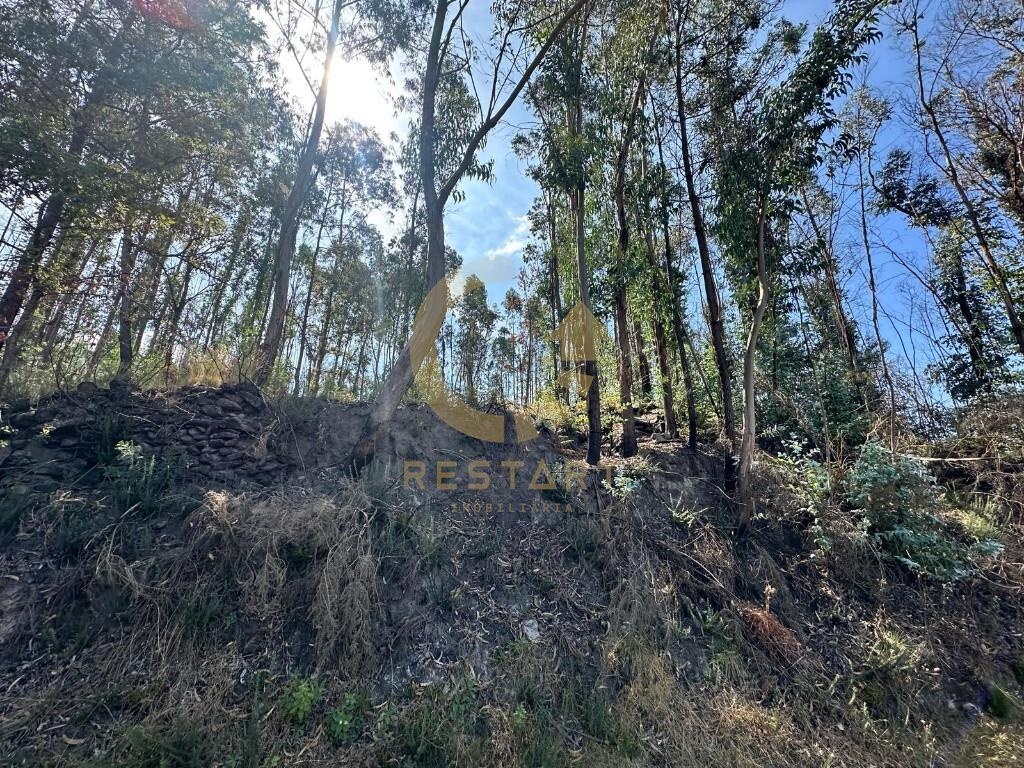  Land in Marco de Canaveses, Portugal No. 274730