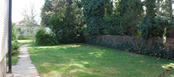 3 rooms Bungalow in Deutsch-Wagram, Austria No. 251618 20