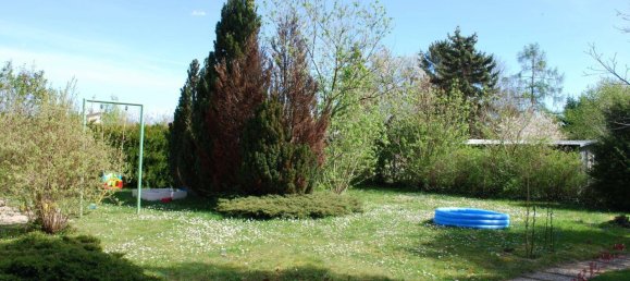 3 rooms Bungalow in Deutsch-Wagram, Austria No. 251618 19