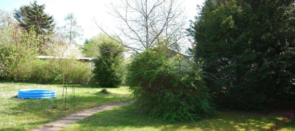 3 rooms Bungalow in Deutsch-Wagram, Austria No. 251618 18