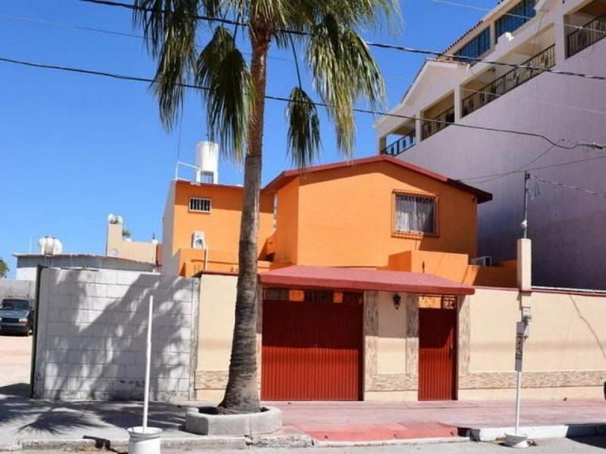 5 غرف نوم منزل في Baja California Sur, Mexico رقم 145609