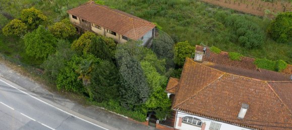 9 bedrooms House in Anadia, Portugal No. 48010 5