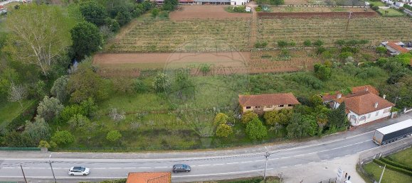 9 bedrooms House in Anadia, Portugal No. 48010 3