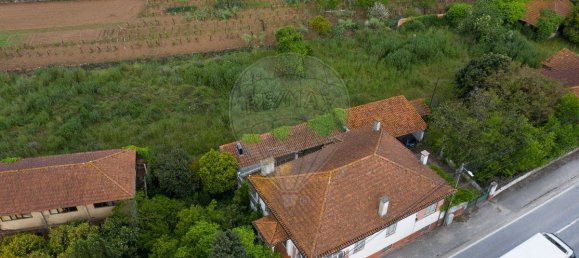 9 bedrooms House in Anadia, Portugal No. 48010 4