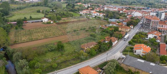 9 bedrooms House in Anadia, Portugal No. 48010 2