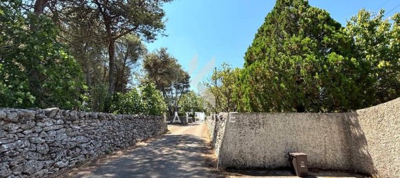 3 chambres Villa à Martina Franca, Italy No. 268516 7