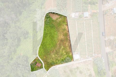 1570m² Land in Ponta do Sol, Portugal No. 244781
