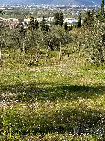 Terrain à Lastra a Signa, Italy 4080m² No. 300242