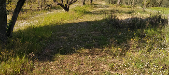 Terrain à Lastra a Signa, Italy 4080m² No. 300242 5