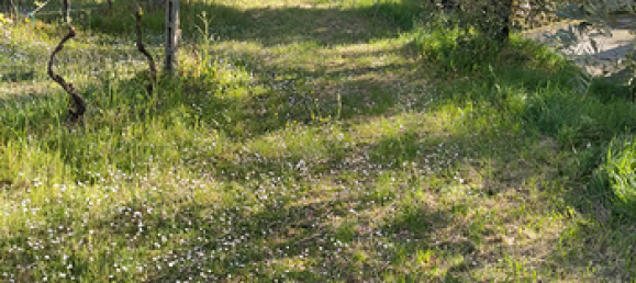 Terrain à Lastra a Signa, Italy 4080m² No. 300242 4