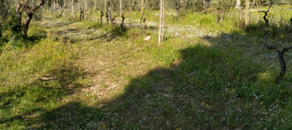 Terrain à Lastra a Signa, Italy 4080m² No. 300242 3