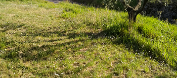 Terrain à Lastra a Signa, Italy 4080m² No. 300242 2