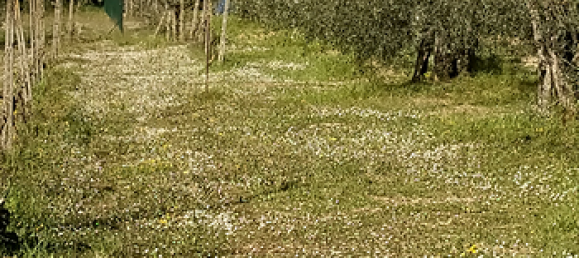 Terrain à Lastra a Signa, Italy 4080m² No. 300242 6